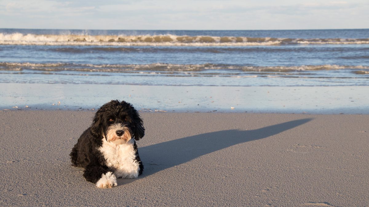 New homes in Ormond Beach