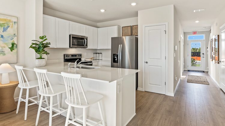 New homes in Venice